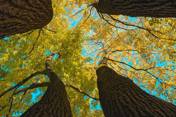 Entfaltung ist das neue Wachstum?!